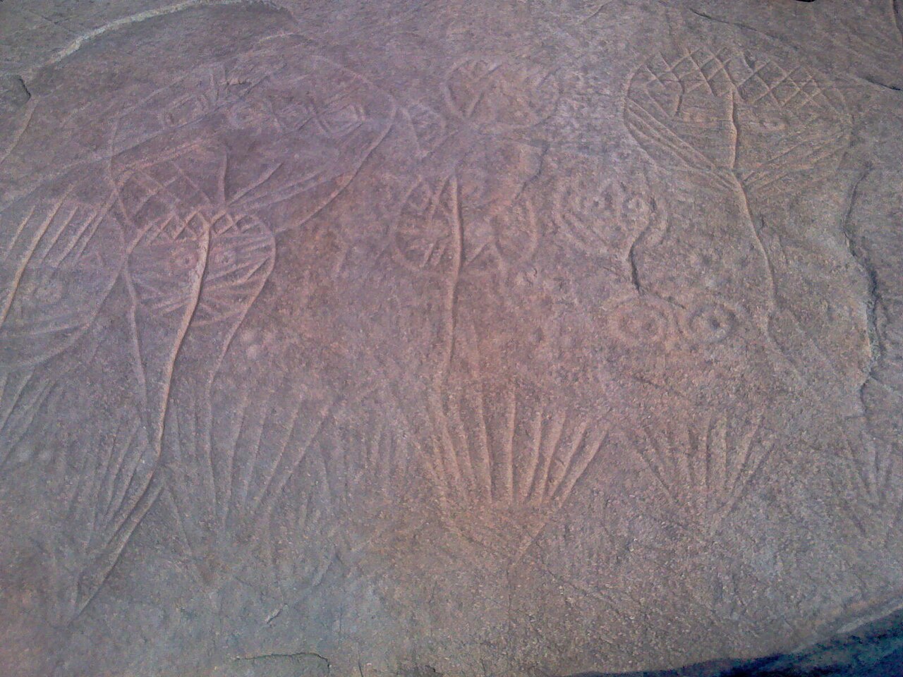 将军崖岩画 来自 Wikimedia Commons